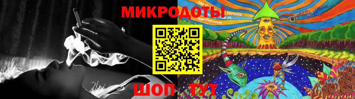 Псилоцибиновые грибы Psilocybe  Вход с VPN  Кольчугино 